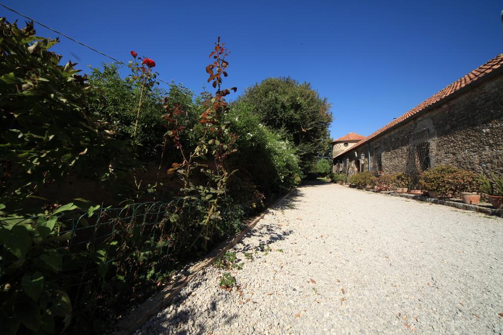 Azienda Agrituristica Seliano Paestum Exterior foto